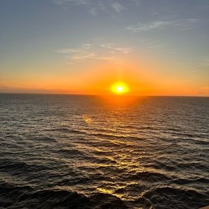 Posting for live show